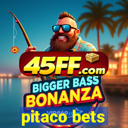 pitaco bets